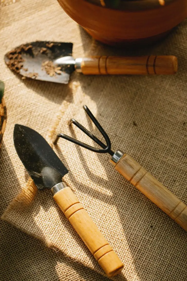 Tips for Storing Gardening Tools - Domestic Director