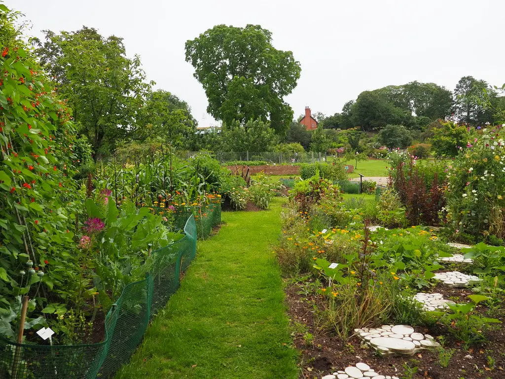 The University Of Liverpool's Permaculture Garden