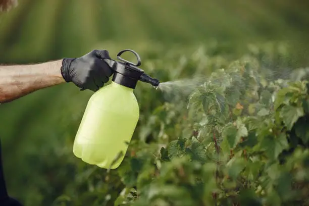 Pesticides - Domestic Director